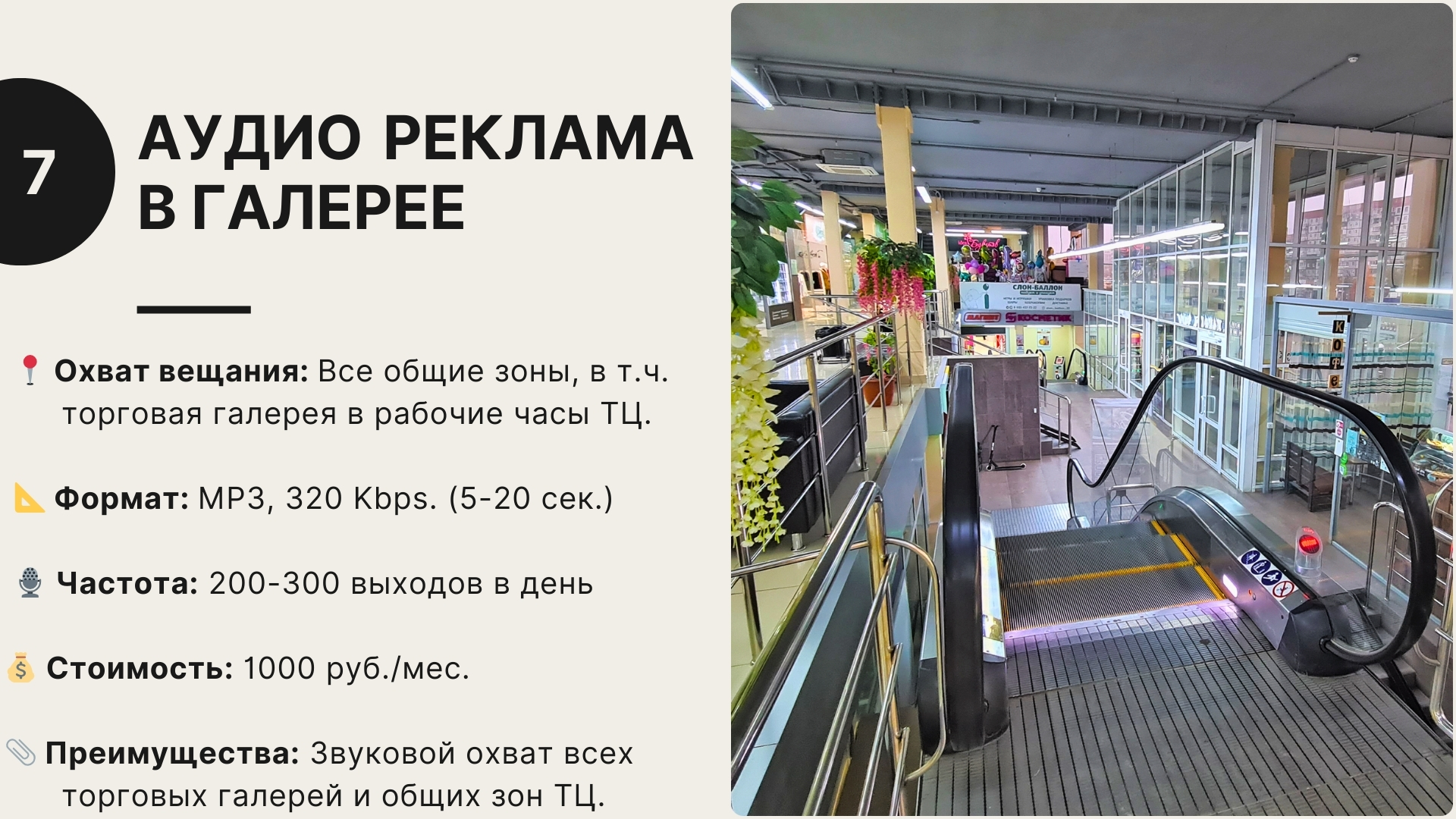 Презентация — слайд 13